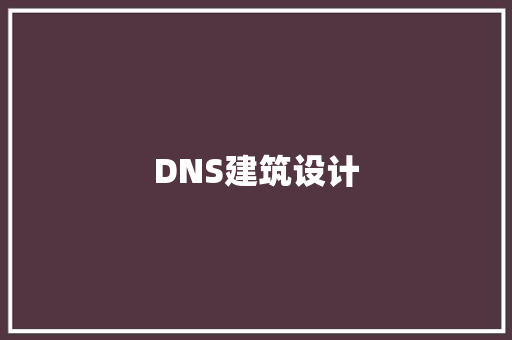 DNS建筑设计