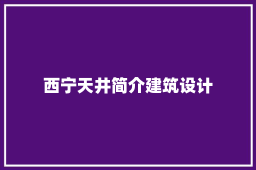 西宁天井简介建筑设计