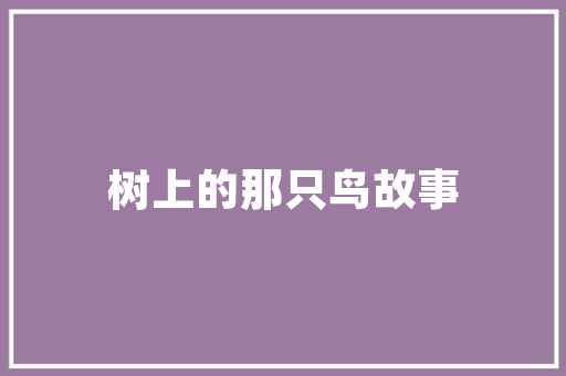 CMU建筑设计专业 建筑法规