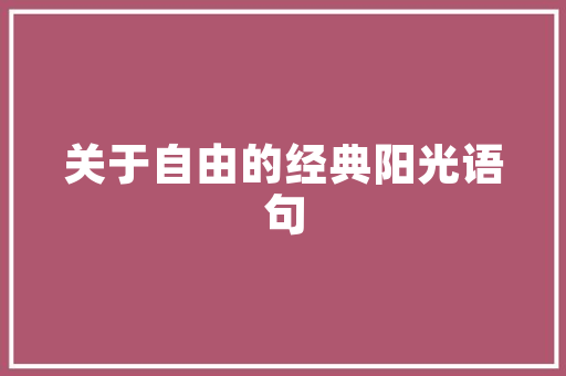 玉兔礼盒建筑设计 施工技术