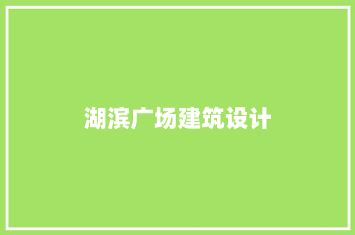 湖滨广场建筑设计