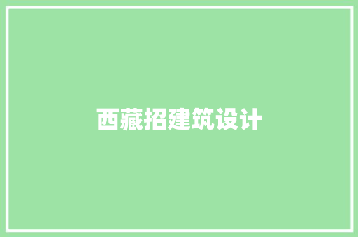 西藏招建筑设计