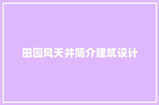 田园风天井简介建筑设计
