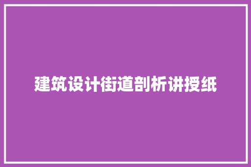 建筑设计街道剖析讲授纸