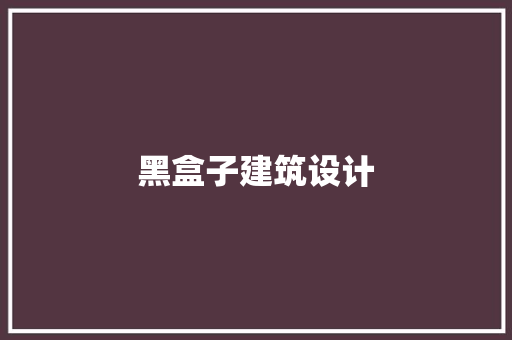 黑盒子建筑设计