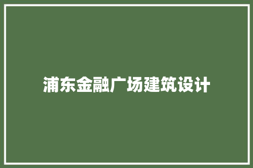 浦东金融广场建筑设计 常见问题