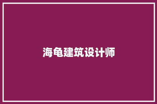 海龟建筑设计师