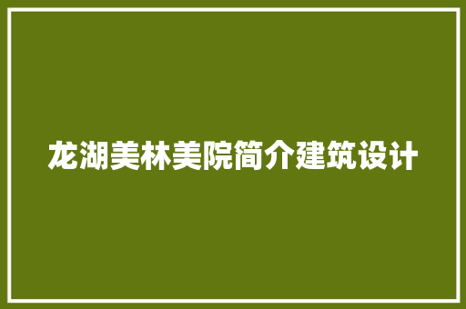 龙湖美林美院简介建筑设计