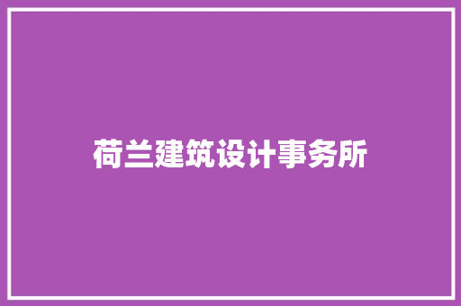 荷兰建筑设计事务所 施工技术