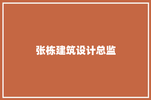 张栋建筑设计总监 施工管理