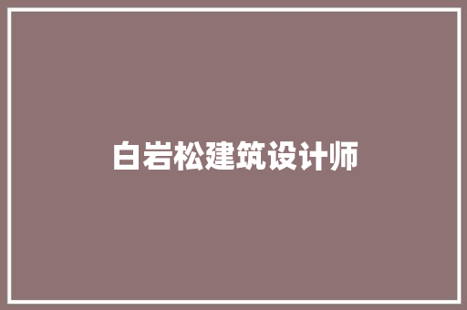 白岩松建筑设计师 工艺流程