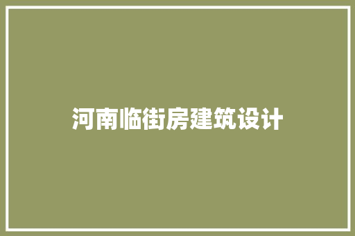 河南临街房建筑设计