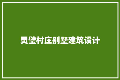 灵璧村庄别墅建筑设计
