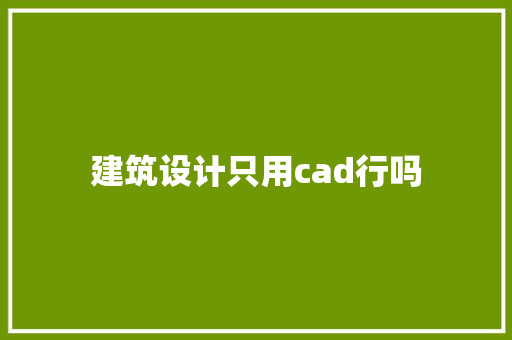 建筑设计只用cad行吗