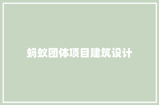 蚂蚁团体项目建筑设计