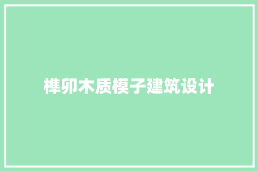 榫卯木质模子建筑设计