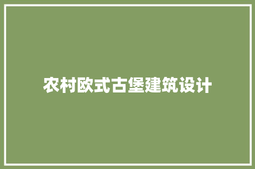 农村欧式古堡建筑设计
