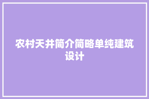 农村天井简介简略单纯建筑设计