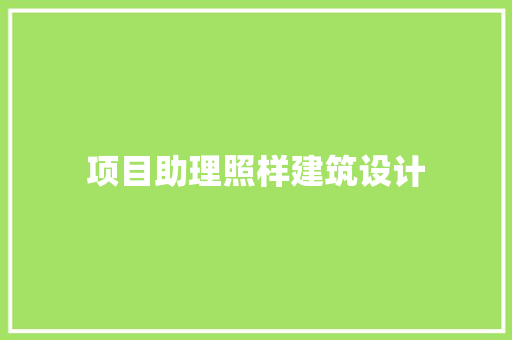 项目助理照样建筑设计