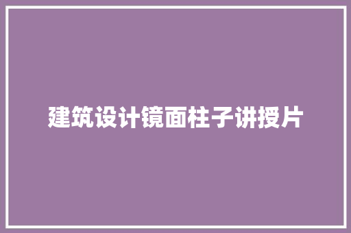 建筑设计镜面柱子讲授片