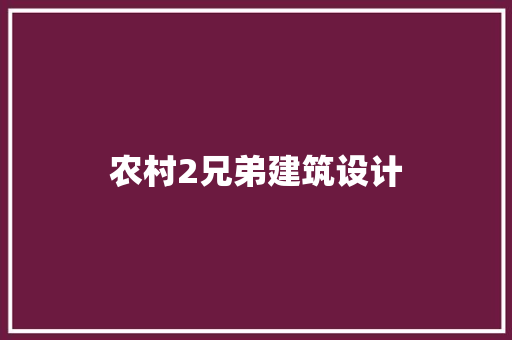 农村2兄弟建筑设计 设计原则