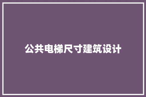 公共电梯尺寸建筑设计