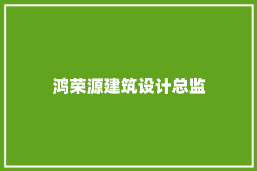 鸿荣源建筑设计总监