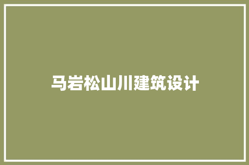 马岩松山川建筑设计 材料设备