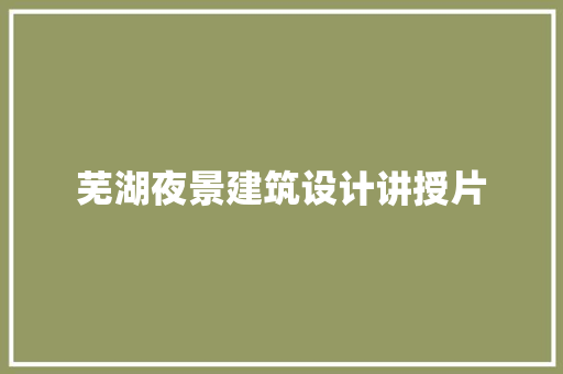 芜湖夜景建筑设计讲授片