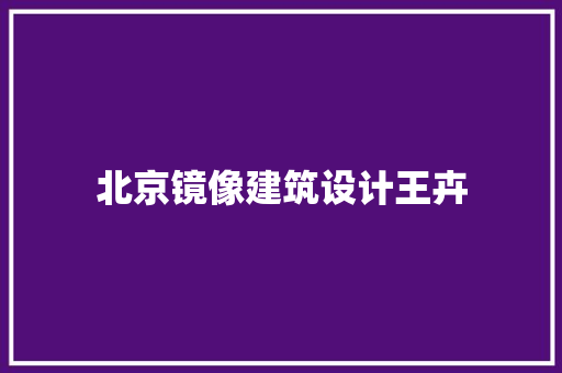 北京镜像建筑设计王卉