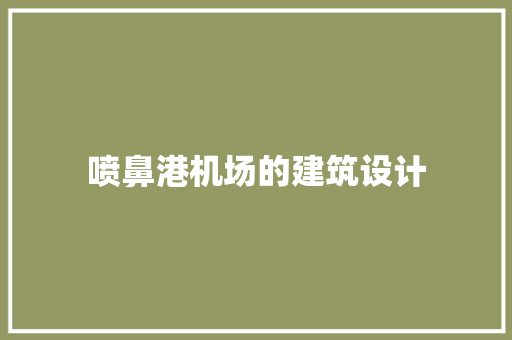 喷鼻港机场的建筑设计