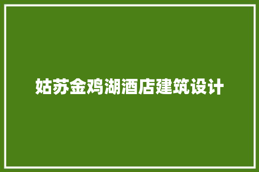 姑苏金鸡湖酒店建筑设计 材料设备