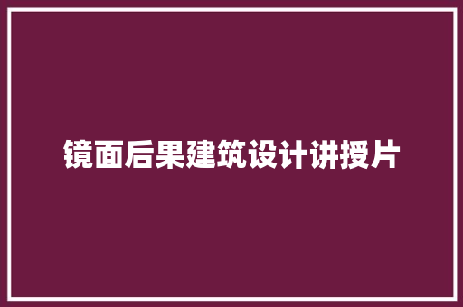 镜面后果建筑设计讲授片