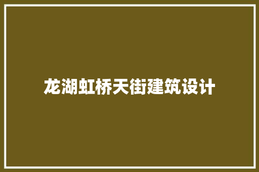 龙湖虹桥天街建筑设计