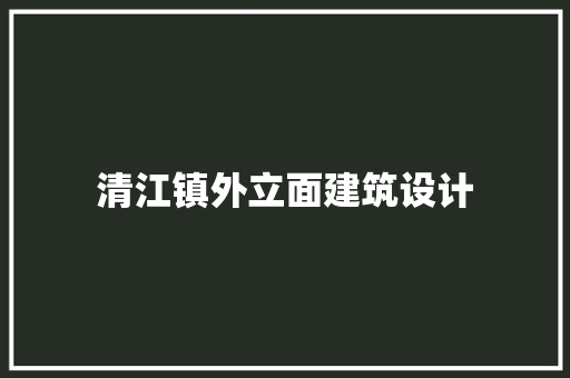 清江镇外立面建筑设计