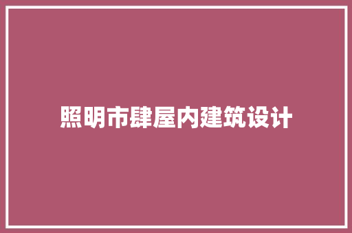 照明市肆屋内建筑设计