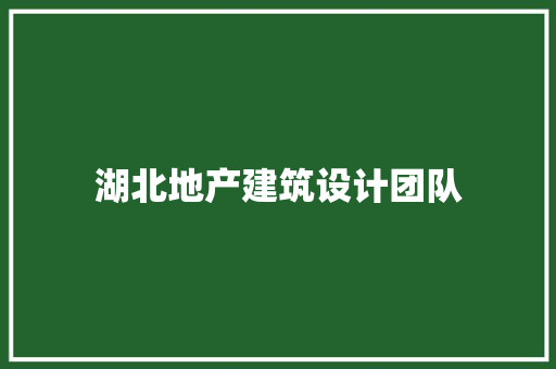 湖北地产建筑设计团队 材料设备