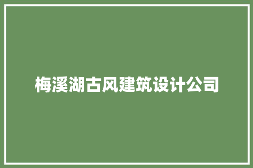 梅溪湖古风建筑设计公司