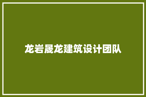 龙岩晟龙建筑设计团队