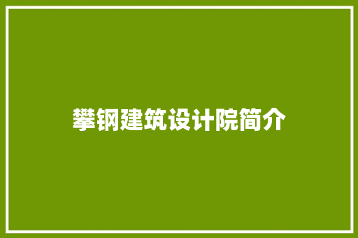 攀钢建筑设计院简介 施工管理