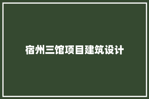 宿州三馆项目建筑设计