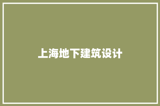 上海地下建筑设计