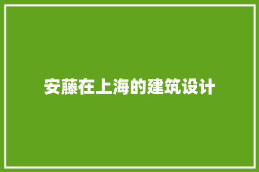 安藤在上海的建筑设计