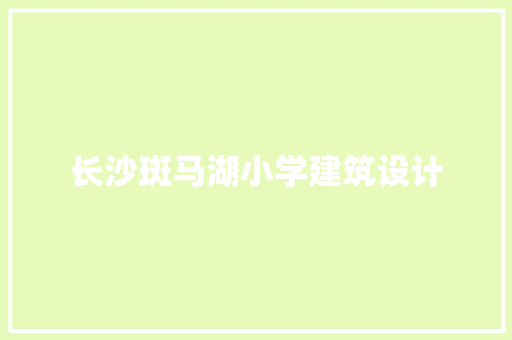长沙斑马湖小学建筑设计