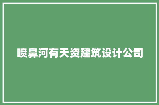 喷鼻河有天资建筑设计公司