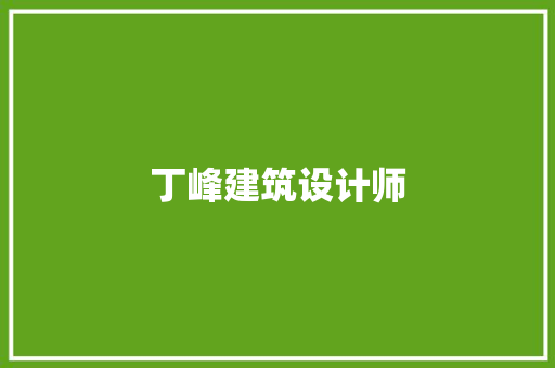 丁峰建筑设计师
