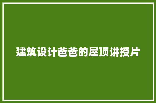 建筑设计爸爸的屋顶讲授片