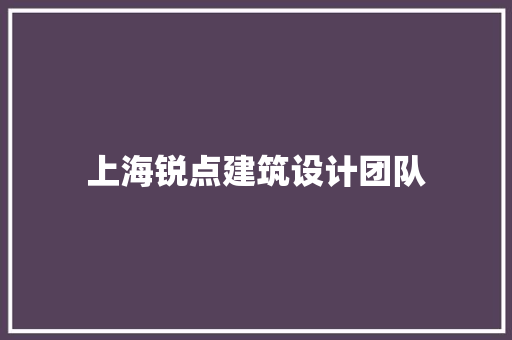 上海锐点建筑设计团队