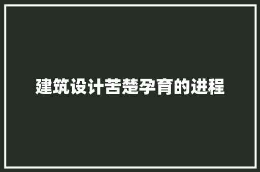 建筑设计苦楚孕育的进程