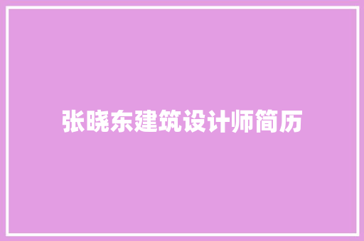 张晓东建筑设计师简历